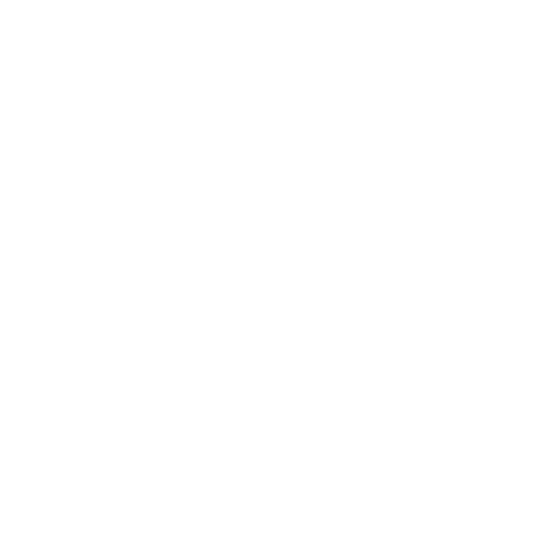 AI Implementation