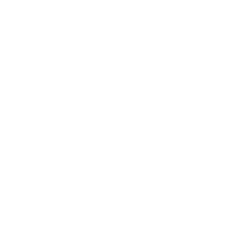 Executive-Only Discussions